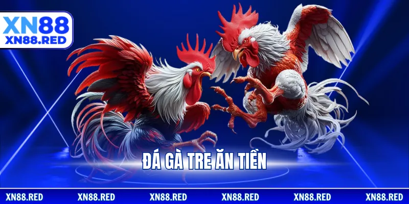 Đá gà tre ăn tiền